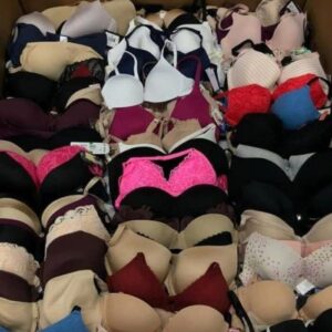 Wholesale Bra Liquidation Pallets – 200 Pieces per Pallet